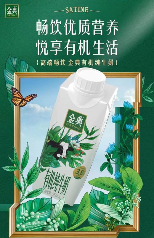 金典有机纯牛奶梦幻盖 250ml*10 商品图2