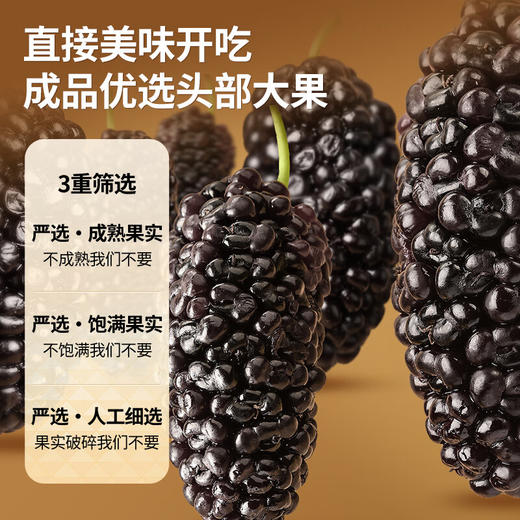 【99元任选3件】【正宗同仁堂品牌】北京同仁堂 青源堂  桑葚干250克 饱满黑亮  甜蜜无涩感  洁净度高SY 商品图5