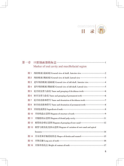 牙体解剖图谱 段坤昌 段维轶 王振宇 主编 成年人恒牙婴幼儿乳牙体实物标本图像牙列咬合口腔科书籍 人民卫生出版社9787117341998 商品图3
