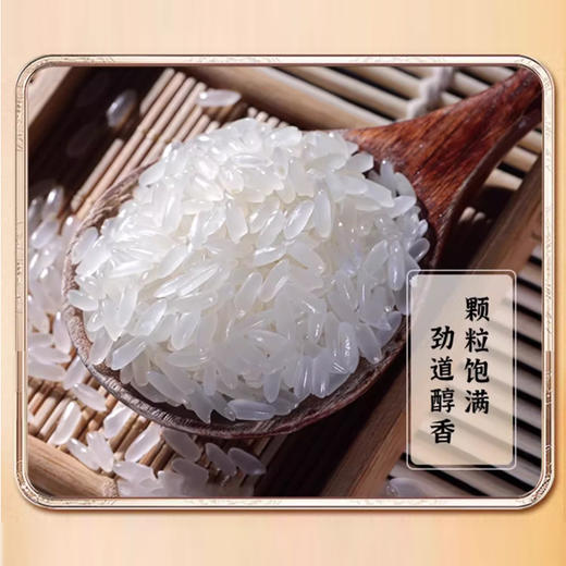 财兴五常大米10kg/袋 商品图2