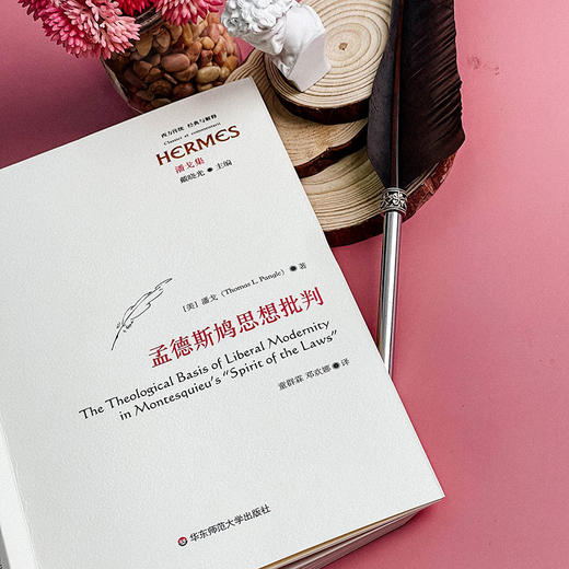 孟德斯鸠思想批判 潘戈 著 政治哲学研究 启蒙理性主义 商品图14