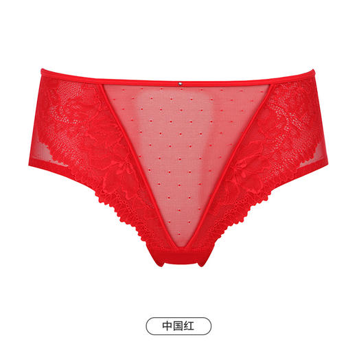都市丽人时尚系列蕾丝网布内裤女蕾丝女士内裤中腰三角内裤LK42A9 商品图13
