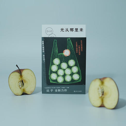 光从哪里来 远子 著 小说 商品图3