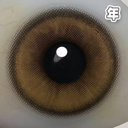 #FC-244 浅琥珀 棕色【1片装】敏感眼舒适推荐 / 年抛 商品图3