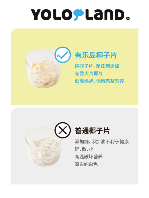 有乐岛 / 椰子片  马来西亚特产无添加蔗糖 120g 商品图5