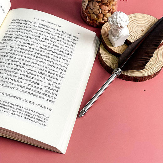 孟德斯鸠思想批判 潘戈 著 政治哲学研究 启蒙理性主义 商品图11