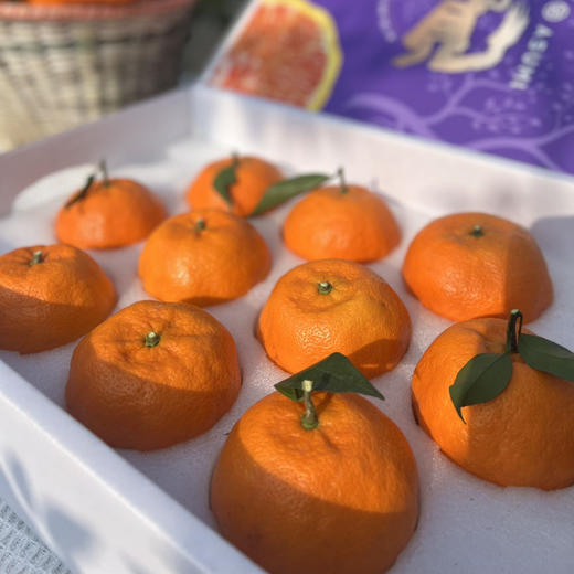 晚熟柑橘新贵～【明日见柑橘】柑橘届天花板级别  ！ 商品图3