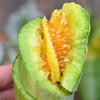 当季果蔬 | 山东羊角蜜甜瓜 博洋9号/锦玉 甜度适中 清甜脆口 商品缩略图8