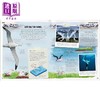 【中商原版】DK动物奇妙之旅 Amazing Animal Journeys 英文原版 儿童科普绘本 动物知识百科图画书 7岁以上 进口自然科学读本 商品缩略图2