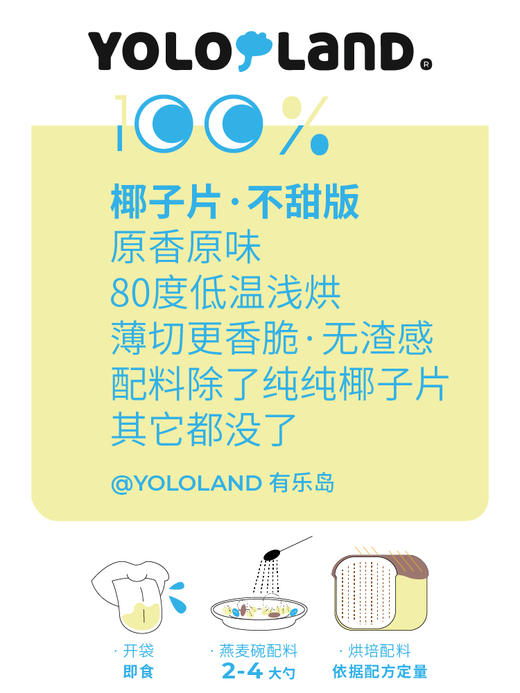 有乐岛 / 椰子片  马来西亚特产无添加蔗糖 120g 商品图2