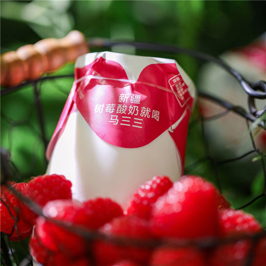 【近期生产】马三三树莓小白罐酸奶 商品图2
