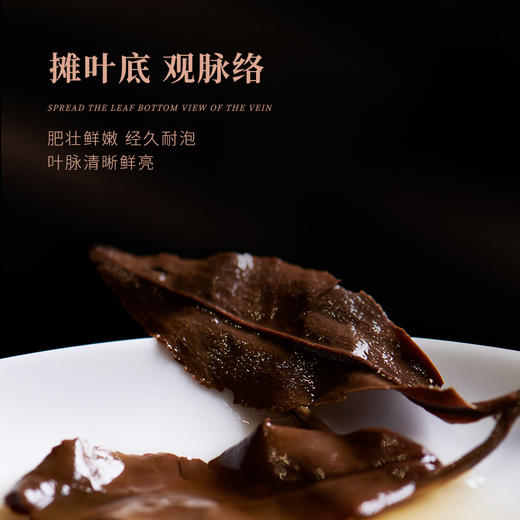 白大师阅天下2016年福鼎白茶寿眉陈年枣香老寿眉茶叶饼300g礼盒装 商品图4