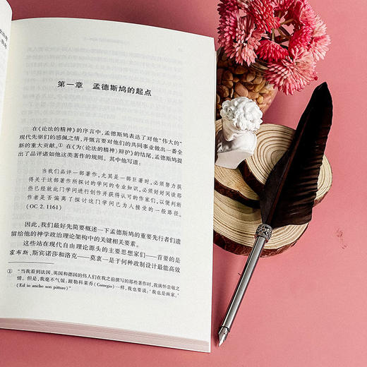 孟德斯鸠思想批判 潘戈 著 政治哲学研究 启蒙理性主义 商品图9