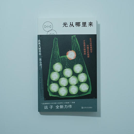 光从哪里来 远子 著 小说 商品图2