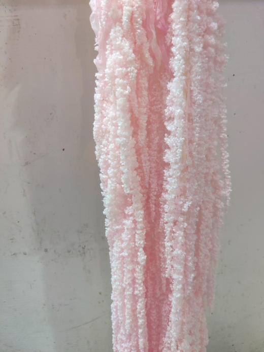 国产花材-永生【吊米】 商品图0