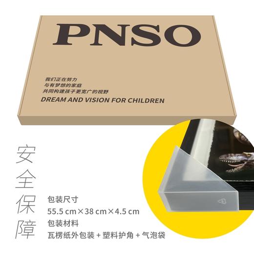 PNSO恐龙博物馆霸王龙家族肖像装饰画挂画 商品图4