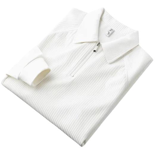 ALBB-HCF轻奢秋季薄款泡泡纱半拉链polo衫男长袖修身休闲保罗休闲t恤男 商品图4