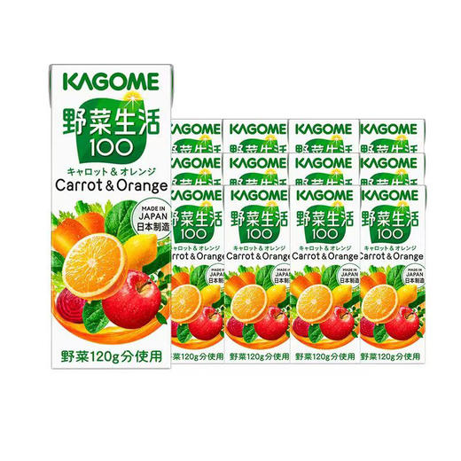 可果美复合果蔬汁饮料-胡萝卜和橙风味 商品图3