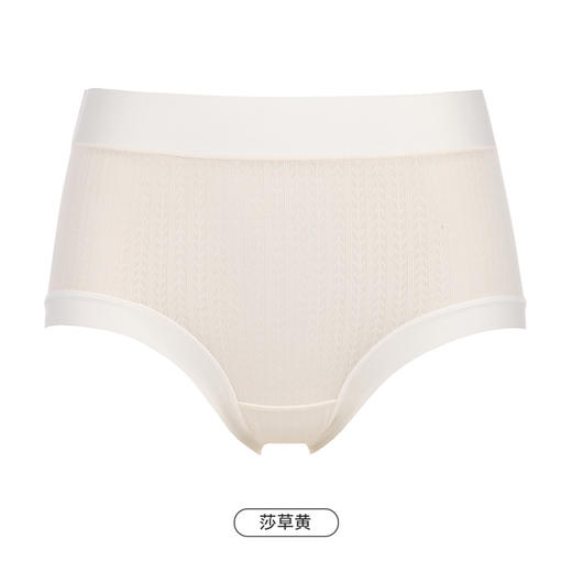都市丽人健康系列宽版包覆内裤女锦提花女士内裤中腰平角内裤LK45C3 商品图9