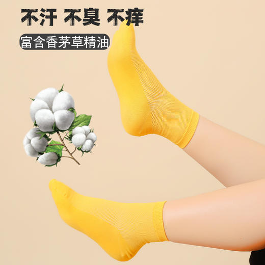 【米莫印品 黑科技赋能香茅草精油袜】专利抗箘消臭除臭 水泡脚痒排汗透气 舒适柔软持久回弹 抗箘润肤精油袜 男女款同款 告别香港脚！精美礼盒装/5双 商品图3