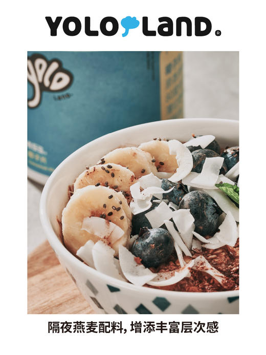 有乐岛 / 椰子片  马来西亚特产无添加蔗糖 120g 商品图3