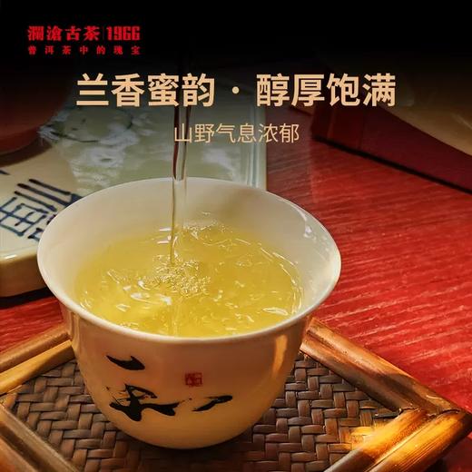 澜沧古茶2023年景迈古树头春散茶大平掌养护林春茶木盒装500g 商品图3