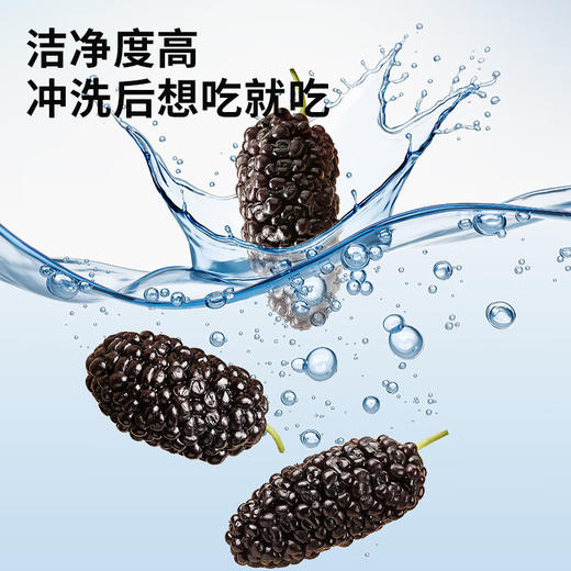 【99元任选3件】【正宗同仁堂品牌】北京同仁堂 青源堂  桑葚干250克 饱满黑亮  甜蜜无涩感  洁净度高SY 商品图4