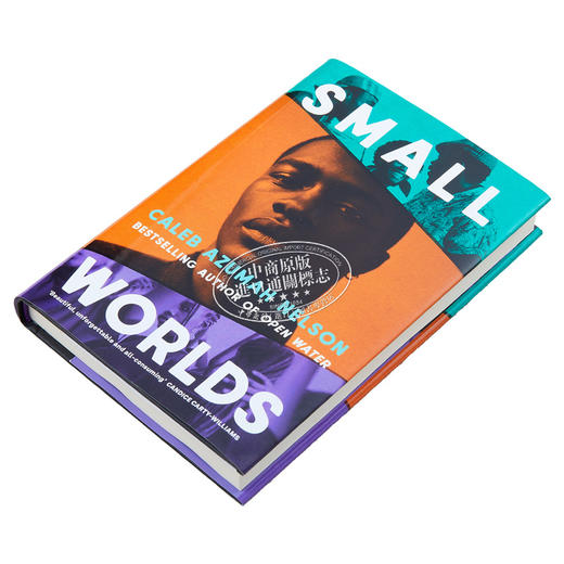 【中商原版】卡莱布 阿祖马 尼尔森 小世界 Small Worlds 英文原版 Caleb Azumah Nelson 青春小说 商品图2