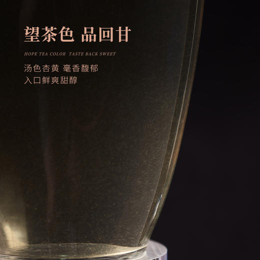白大师阅天下2019年高山福鼎白茶白毫银针茶叶茶饼典藏礼盒装300g 商品图3