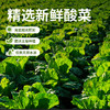仟味神厨益生菌发酵酸菜|开袋免洗，0防腐0亚硝酸盐，酸爽脆嫩下饭一绝 商品缩略图8