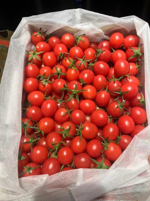 【满150元全疆包邮】爆汁小番茄 （1.5kg） 商品图1