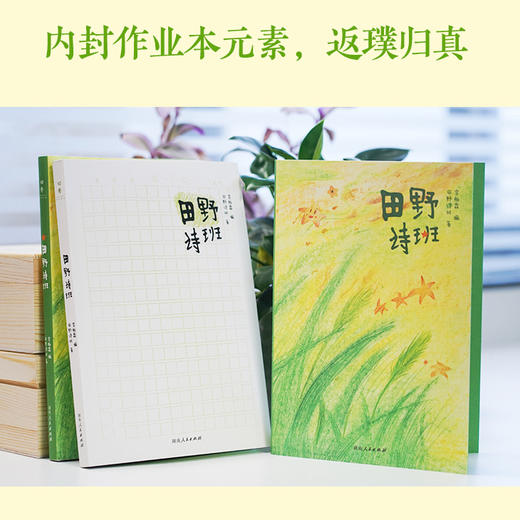 田野诗班 登上春晚的山里娃娃们的诗集 来自孩子们的暖心礼物，白岩松感动推荐，83首纯真童诗+83幅手绘童画+83段纯净童声 商品图5