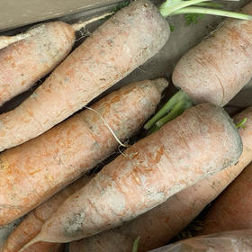 （农夫有庆）带土胡萝卜