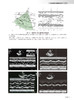 中华心脏超声学 王浩 任卫东 舒先红 主编 心内科学瓣膜病心肌病先心病心脏超声专业参考书疑难病 人民卫生出版社9787117352758 商品缩略图4