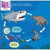 【中商原版】海洋是一件大事 Ocean is Kind of a Big Deal 英文原版 儿童绘本 科普故事图画书 进口 8岁+ 儿童自然科学读物 商品缩略图3