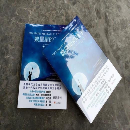 数星星的孩子 梅奈劳斯·朗特米斯 著 小说 商品图4