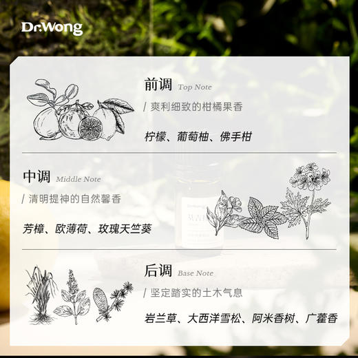 「莫吉托」植物香薰精油 商品图1