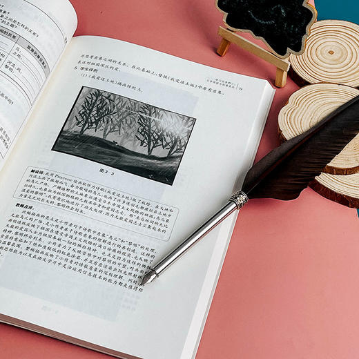 初中语文学习任务群解析与课例 中小学语文教育 周静 商品图10