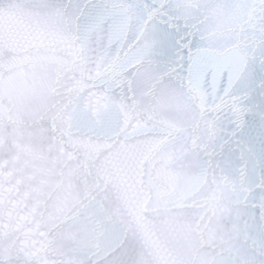 都市丽人时尚系列蕾丝网布内裤女蕾丝女士内裤低腰三角内裤LK43E2 商品图5