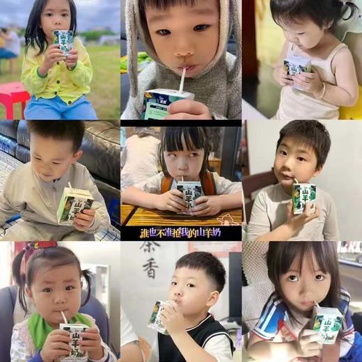 【安牧山羊奶】AMC脱膻发明专利  200ml*10盒 商品图1