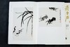 《齐白石绘画艺术》全4册 商品缩略图6