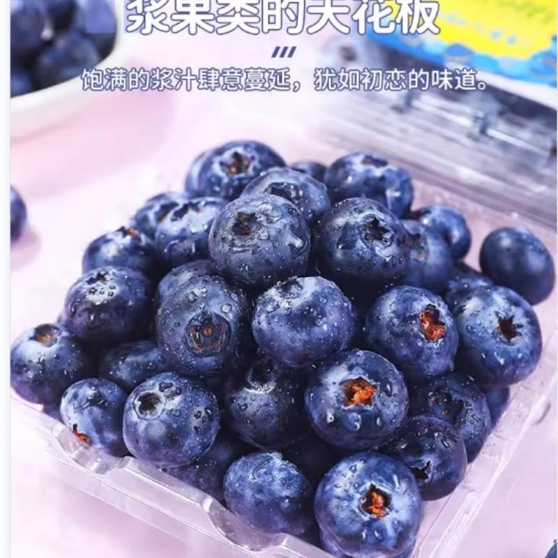 大山蓝莓 /盒  00509