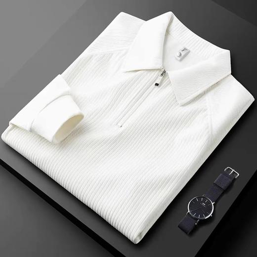 ALBB-HCF轻奢秋季薄款泡泡纱半拉链polo衫男长袖修身休闲保罗休闲t恤男 商品图5