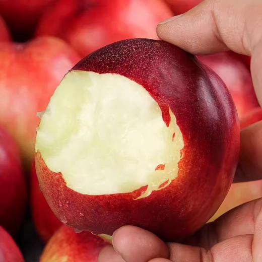 智利桃驳李 桃驳李 | 进口水果 商品图1