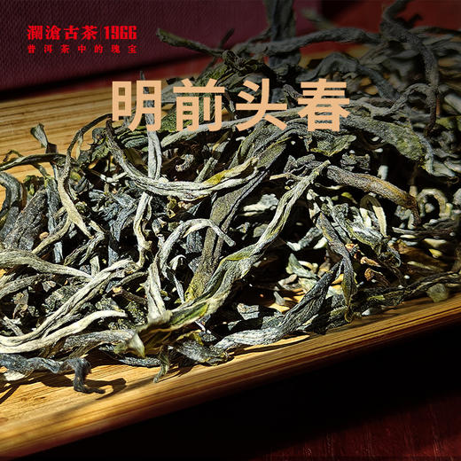 澜沧古茶2023年景迈古树头春散茶大平掌养护林春茶木盒装500g 商品图2