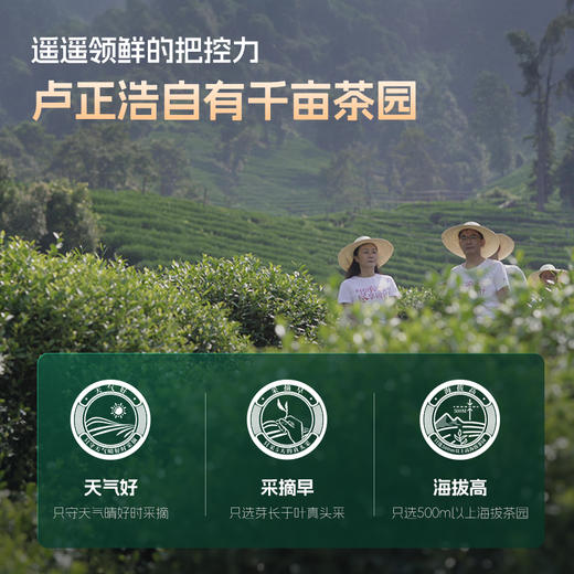 【2026年新茶】卢正浩明前特级头采龙井遥遥领鲜105克礼盒绿茶茶叶 商品图4