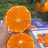 晚熟柑橘新贵～【明日见柑橘】柑橘届天花板级别  ！ 商品缩略图2