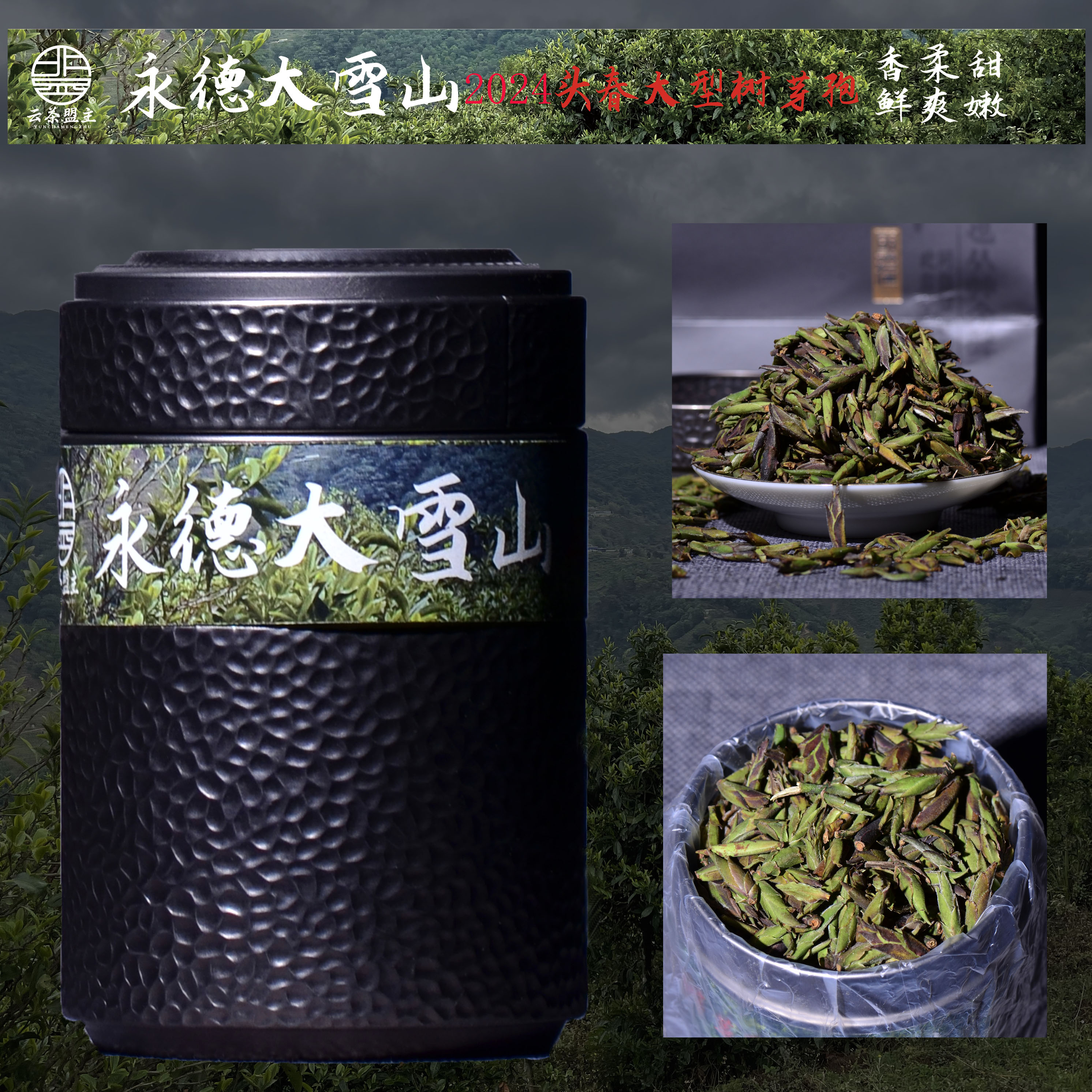 【抢鲜，仅9.2公斤！】2024头春临沧永德大雪山野生头春芽孢！茶农要求持续涨价，罕见品，少量尝鲜！仅此一次加量不加价！