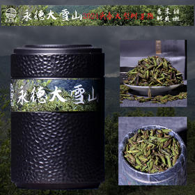 【抢鲜，仅9.2公斤！】2024头春临沧永德大雪山野生头春芽孢！茶农要求持续涨价，罕见品，少量尝鲜！仅此一次加量不加价！