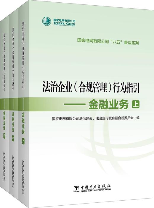 国家电网有限公司“八五”普法系列 法治企业（合规管理）行为指引——金融业务（上、中、下册） 商品图0